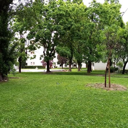 Chambre Double Rosalie En Colocation Montpellier Buitenkant foto